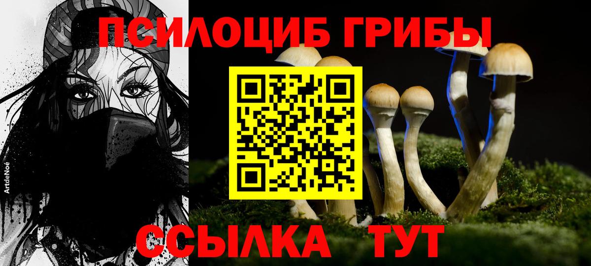 Псилоцибиновые грибы MAGIC MUSHROOMS Дедовск