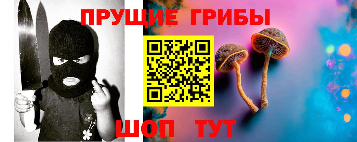 Псилоцибиновые грибы MAGIC MUSHROOMS  Вход с VPN  Псилоцибиновые грибы Psilocybine cubensis  Дедовск 