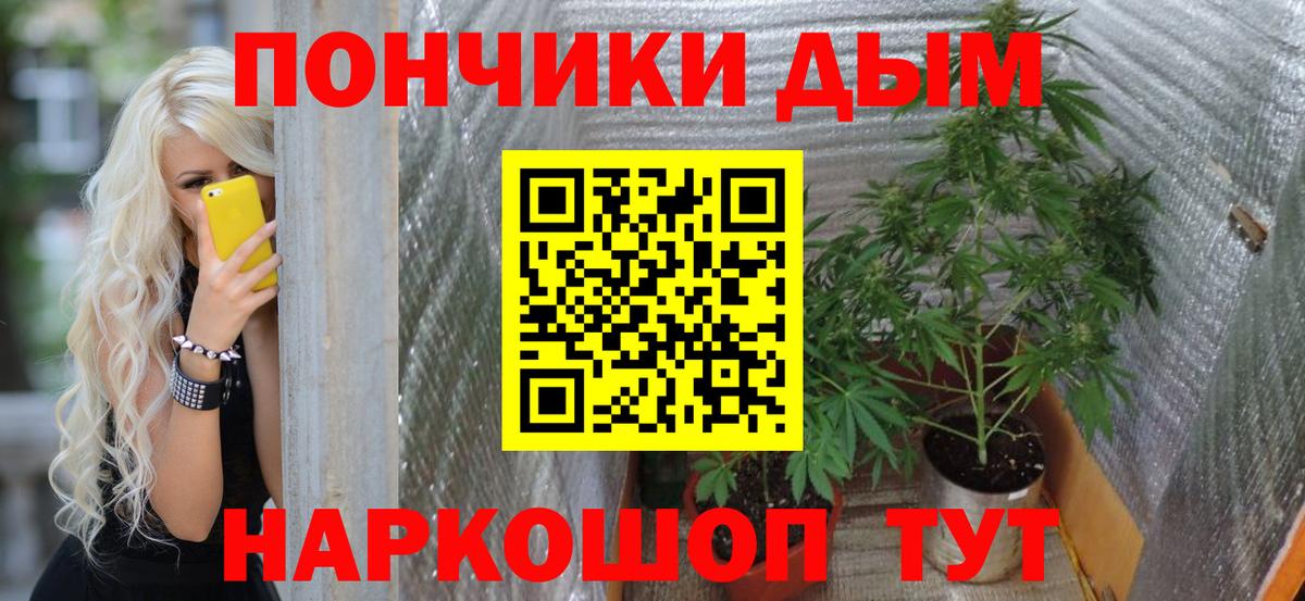 Конопля ГИДРОПОН Дедовск